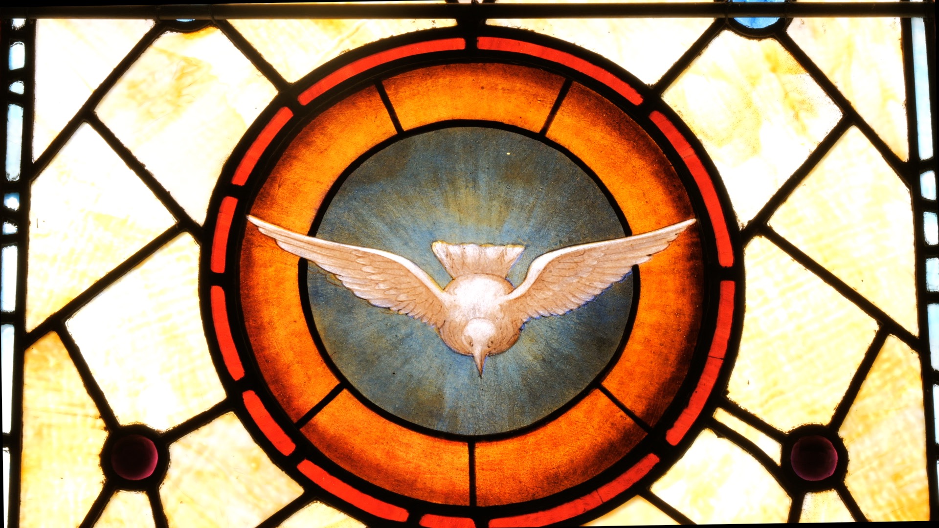 A stained glass window with an image of a bird