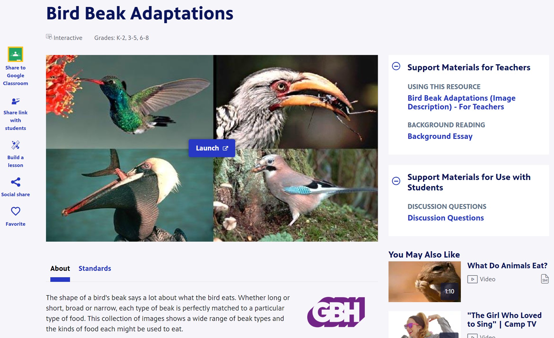 Bird Beak Adaptations